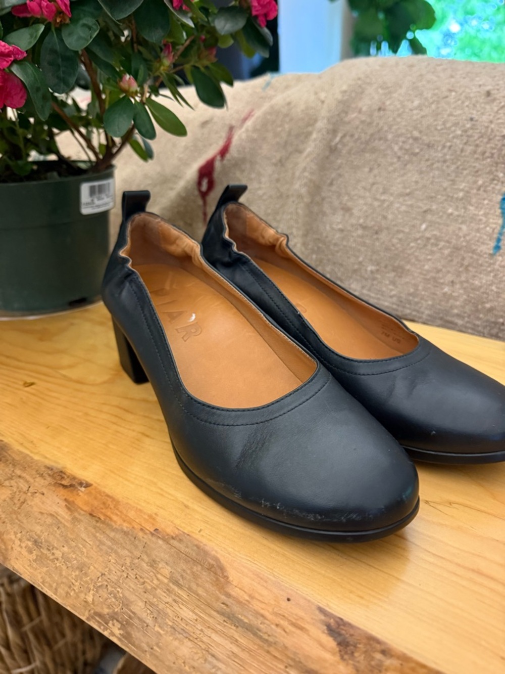 Women's Black Low Block Heel Pumps